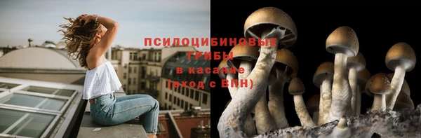 амфетамин Алексин