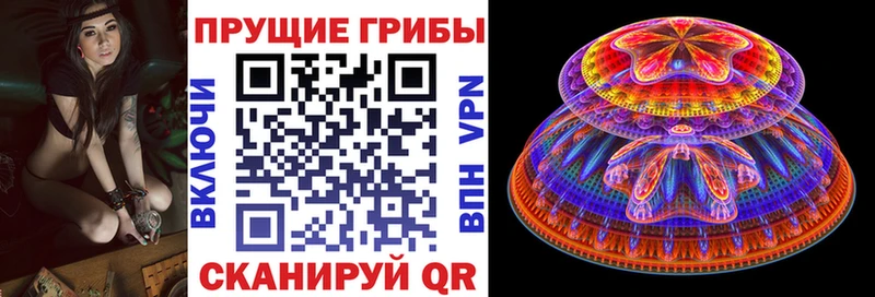 Галлюциногенные грибы мухоморы  Северская 