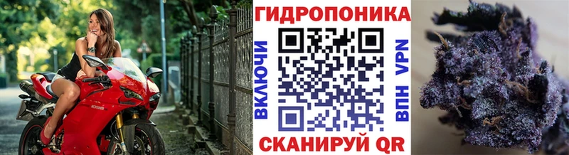 купить наркоту Северская маркетплейс как зайти Шишки марихуана план